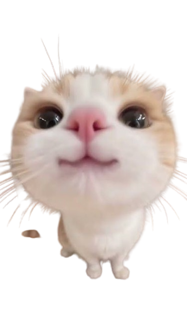 cat maze